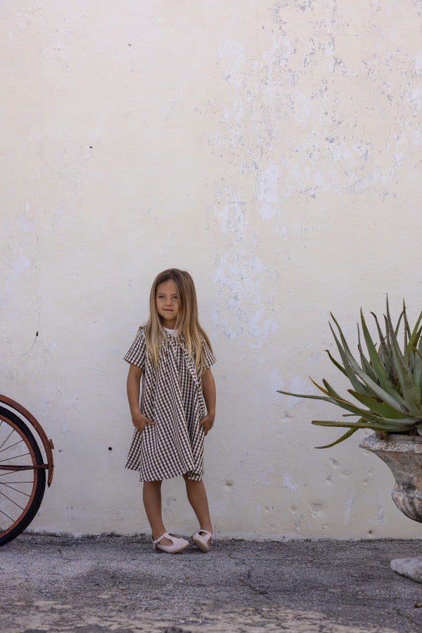 Chestnut Meadow Dress