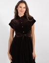 Brown Velour Dress