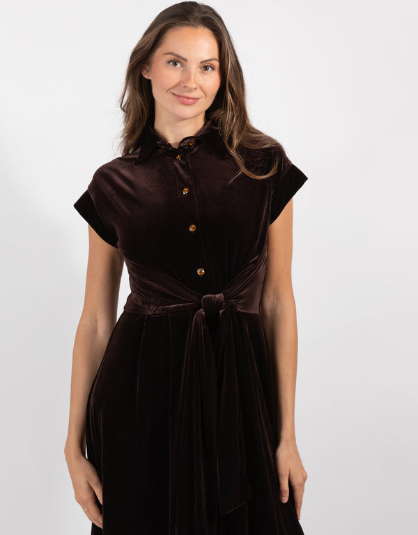 Brown Velour Dress