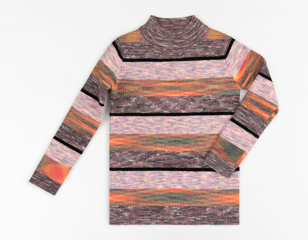 Multicolor Ribbed Knit Turtleneck