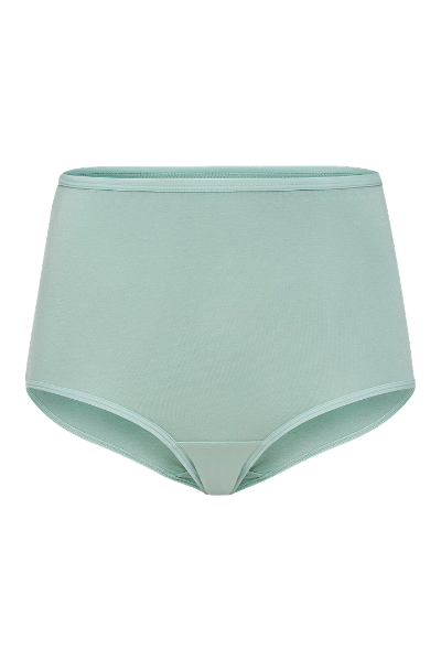 3305 - 3-pack basic brief, cotton-Panties-Gemsli Intimates